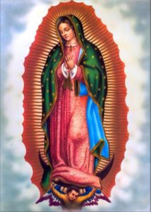 lupe 2 214x300 - Our Lady of Guadalupe Nurtures Strength