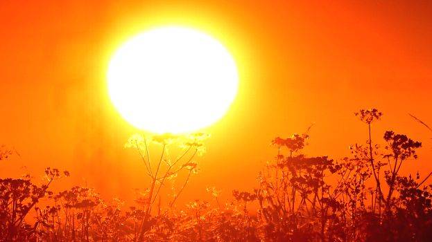 Hot Sun - Protecting Yourself Against a Summer Scorcher