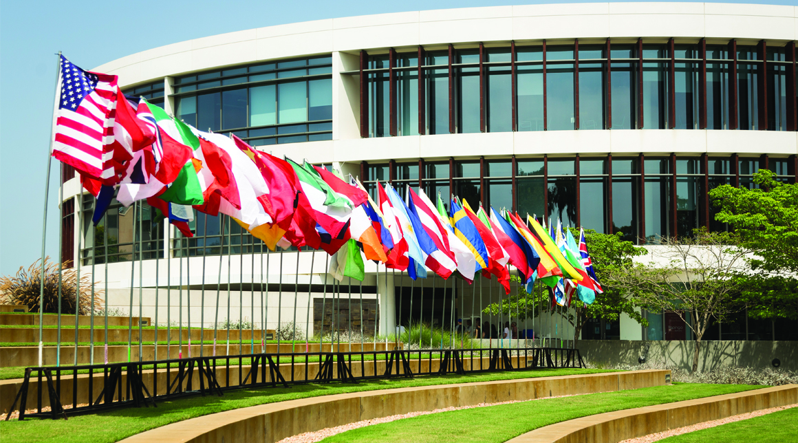 Flags - Global-Local Initiatives Issues Calls for Speakers and Proposals