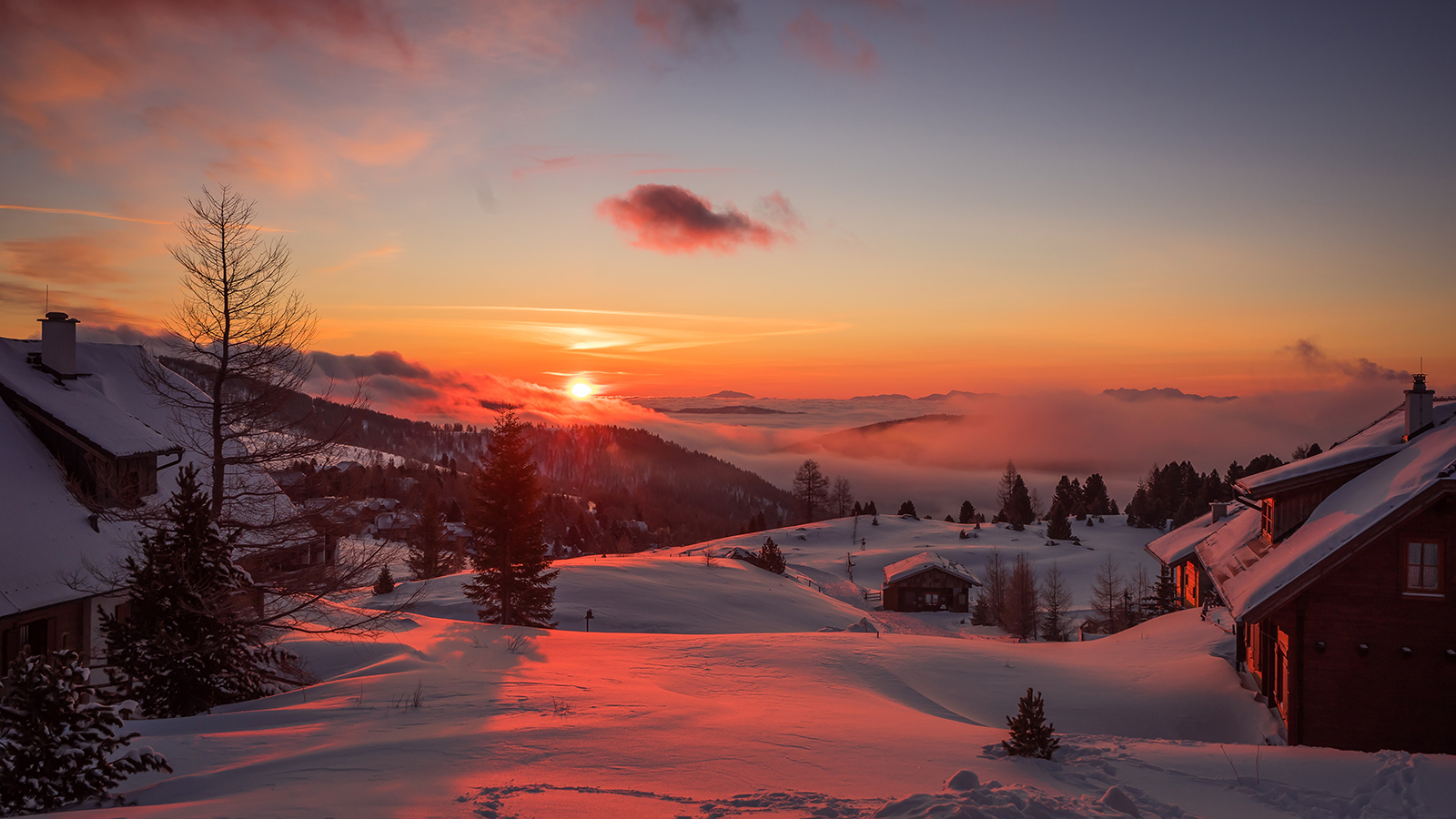 Winter Scene at Sunrise 900x1600 -