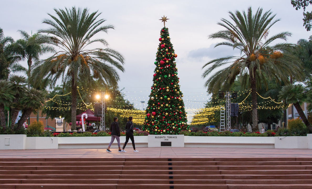 Tree - Annual ASLMU Christmas Tree Lighting Tradition Returns